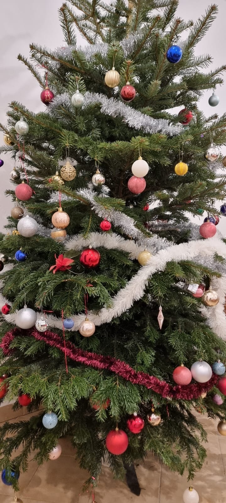 Advent u Vlašićima