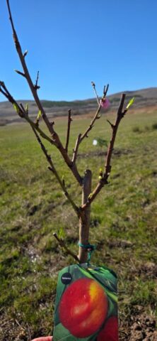 WhatsApp Image 2026-02-26 at 13.27.32