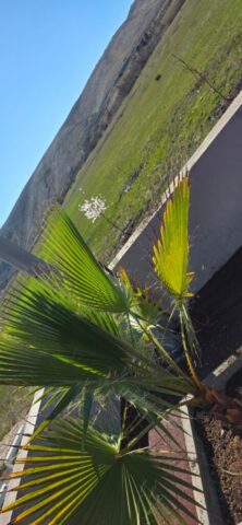 WhatsApp Image 2026-02-26 at 13.27.33