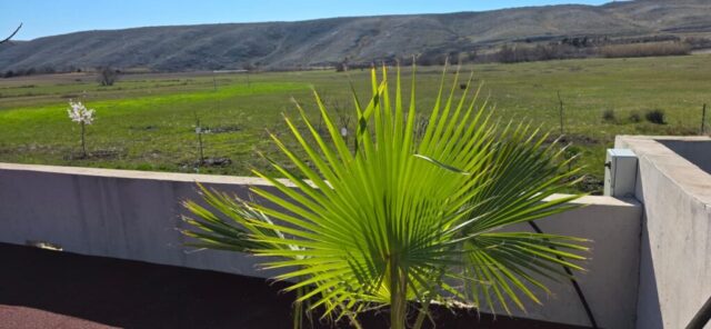 WhatsApp Image 2026-02-26 at 13.273.33