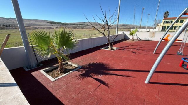 WhatsApp Image 2026-02-26 at6 13.27.33